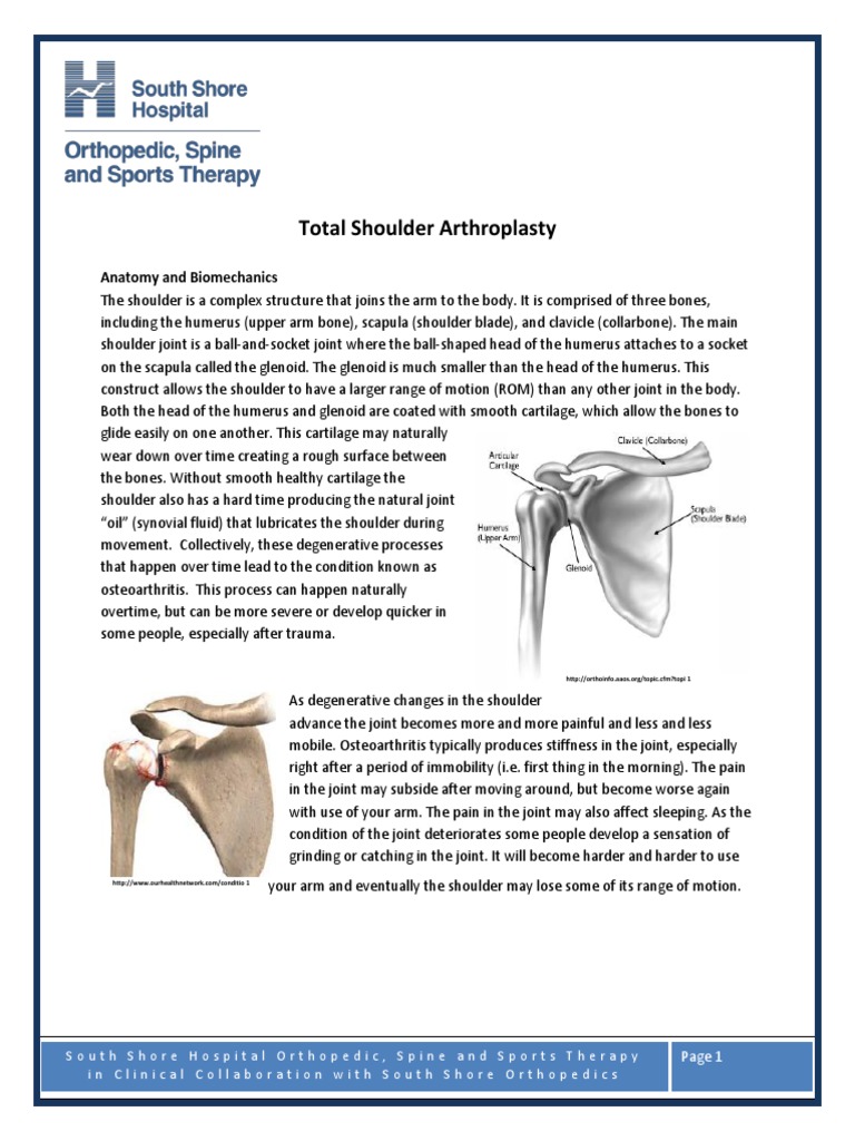 Total Shoulder Replacement | PDF | Shoulder | Anatomical Terms Of Motion