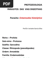 3175374_Amebas.ppt