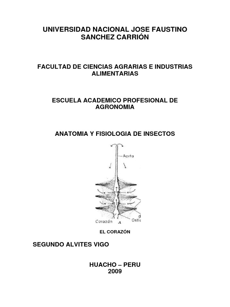 Anatomía y fisiología de los insectos: estructura interna y