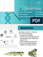 Kelompok 12 - Apoptosis