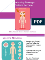 Anatomía y Fisiología Del Sistema Nervioso