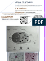 Fisiopatologia Caso Clinico Hemato