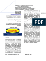 Investigación Acción en Cadenas de Valor y Mercados para El Fortalecimiento de La Pequeña Empresa en Nicaragua