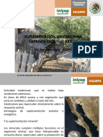 105073615-Suplementacion-Mineral-Para-Caprinos-en-Zonas-Aridas.pptx