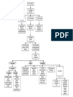 Diagnóstico Etiologico Hiponatremia