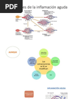 Inflamación Aguda