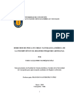 Derechos de Pesca en Chile: Naturaleza Jurídica de La Inscripción en El Registro Pesquero Artesanal