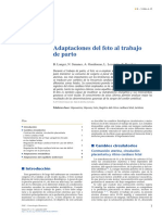 Adaptaciones del feto al trabajo de parto langer2017.pdf