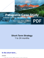 Patagonia Case Study: A Strategy To Address Material Issues With Waterproof Coating