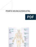 Pemfis Muskuloskeletal