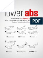 Lower Abs Workout PDF