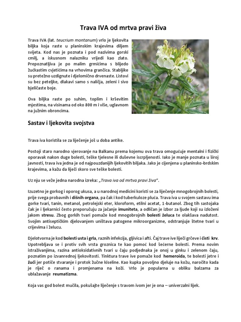 GOOGLE VEB PRETRA IVA intelligence overview