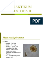 PRAKTIKUM CESTODA II.ppt