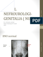 Radiologi Nefrourologi