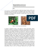 Processamento de Cacau e Chocolate.pdf