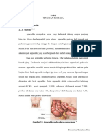50855622-appendicitis-perforasi.pdf