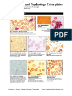 Hematology and Nephrology Color Plates