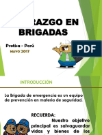 Liderazgo Brigadas