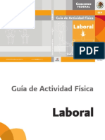 Guia Laboral.pdf