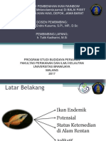 Teknik Pembenihan Ikan Rainbow Kurumoi (Melanotaenia Parva