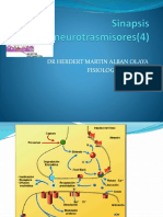 3 Sinapsis.(4)Nuerotrasmisores