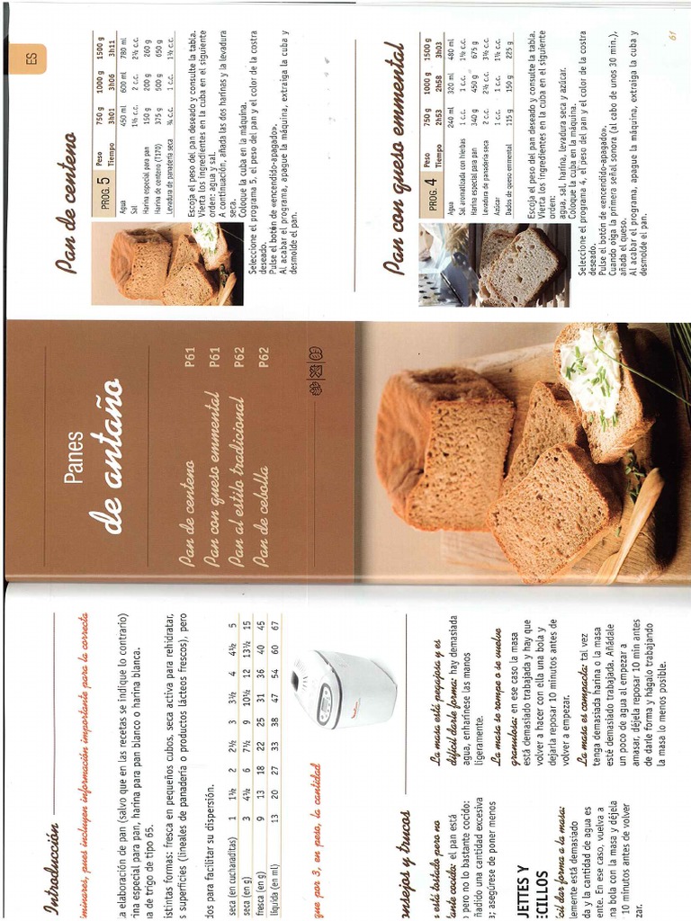 Livret De Recettes Moulinex Home Bread Pdf