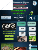 MT - Mordedura de Serpientes