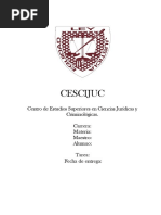  Programas de Auditoria 