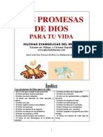 LAS-PROMESAS-DE-DIOS-PARA-TU-VIDA.pdf