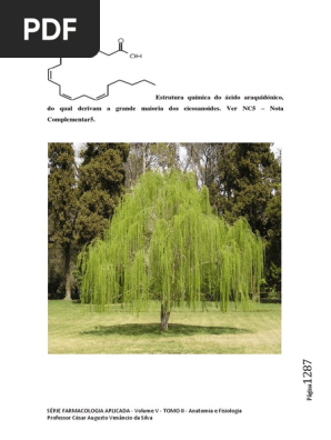 NOTA TÉCNICA Estrutura Química Do Ácido Araquidónico