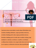 Anatomi Fisiologi Organ Reproduksi Wanita