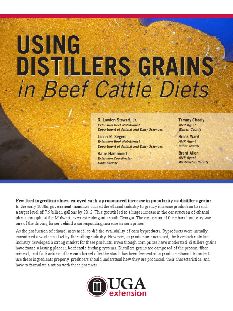 104755-Beef Rations Cereal Straw | PDF | Cattle | Ethanol