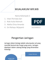 Makalah Evolusi Tumbuhan Berbiji