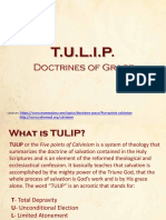 TULIP Doctrines of Grace