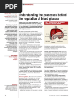 Understanding The Processes Behind The Regulation of Blood Glucose