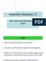 Important Diseases1 - Skin and Eye