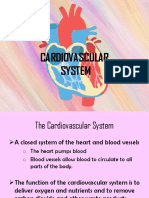 CARDIOVASCULAR SYSTEM (The Heart)