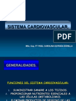 Sistema Cardiovascular