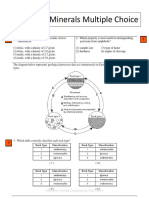 Rocks and Minerals Multiple Choice.pdf