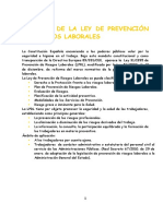 resumen_ley_prevencion_riesgos_laborales.pdf