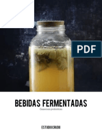 Bebidas+fermetadas.pdf