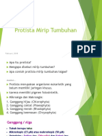 Protista Mirip Tumbuhan