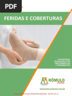 Aula Síntese Sobre Feridas