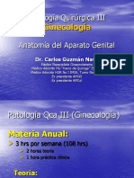 Anatomia Del Tracto Genital