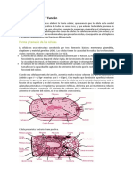 Estructura y Funcion de La Celula PDF