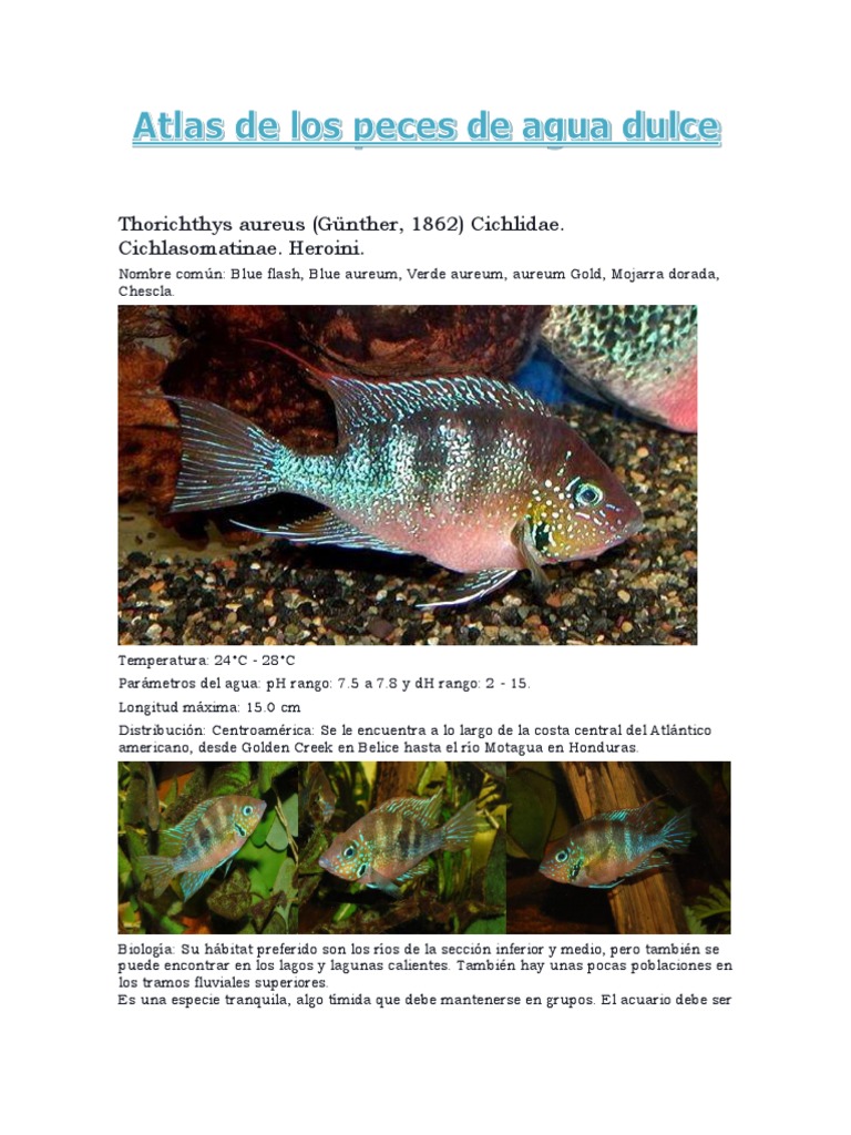 Atlas de Los Peces de Agua Dulce 2 PDF Acuario Río
