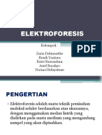 ELEKTROFORESIS