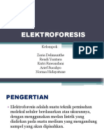 Elektroforesis Gel Teknik