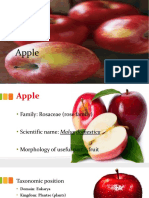 Apple-170825174956 2