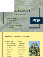 Kelompok 8